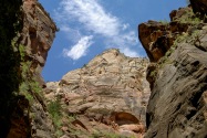 Zion NP, UT
