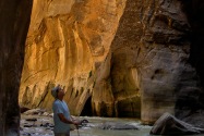 Zion NP, UT