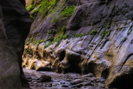 Zion NP, UT