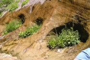 Zion NP, UT